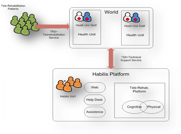 tele-rehabilitation explanation